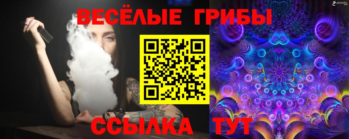 Псилоцибиновые грибы мухоморы Лесозаводск