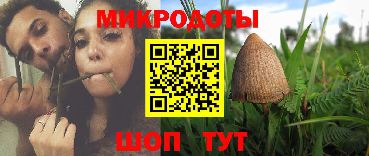 Псилоцибиновые грибы Psilocybe  Вход с VPN  Лесозаводск 